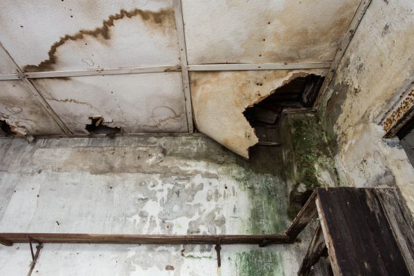 Water Damage Service in Novato