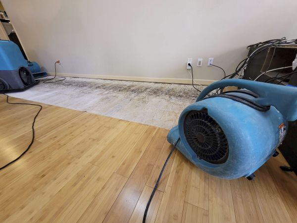 Water Damage Mitigation in Novato
