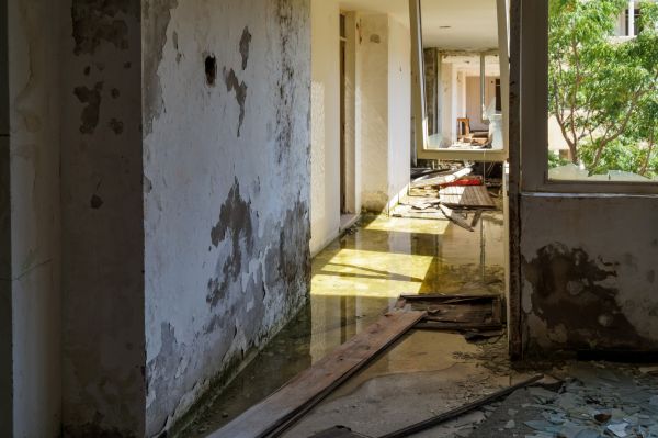Cost of Water Removal Service in Novato