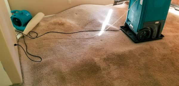 Cost of Carpet Water Extraction in Novato