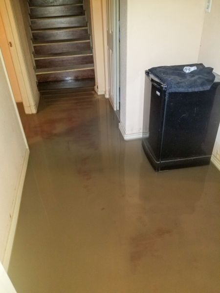 Cost of Emergency Water Removal in Novato