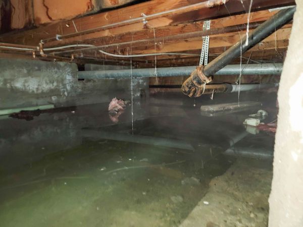 Crawl Space Drying in Novato
